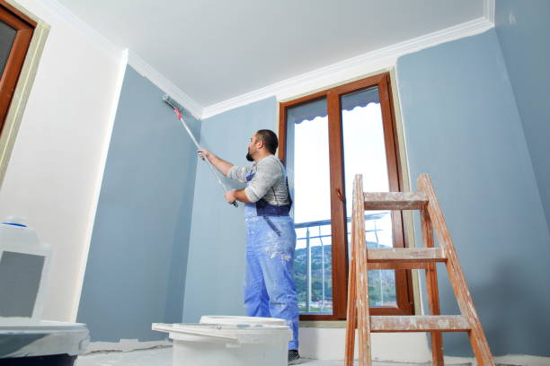 Best Black Mold Removal  in Rogers City, MI