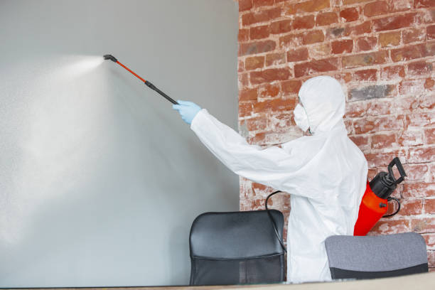  Rogers City, MI Mold Removal Pros