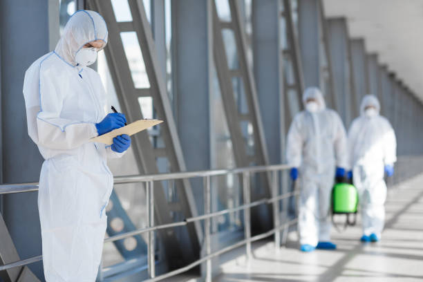 Best HVAC Mold Inspection and Cleaning  in Rogers City, MI