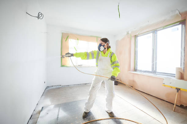 Best Comprehensive Air Testing for Mold Contaminants  in Rogers City, MI