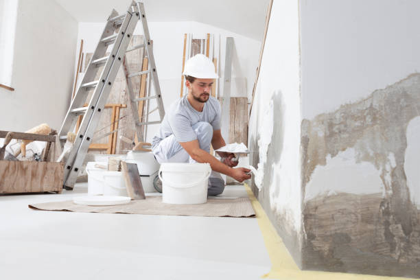Best Environmental Consulting for Mold Prevention  in Rogers City, MI