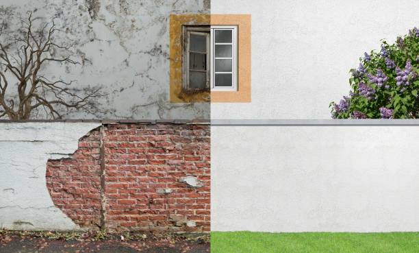 Best Emergency Mold Remediation  in Rogers City, MI