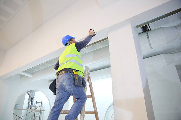 Best Asbestos and Lead Testing During Mold Inspection  in Rogers City, MI