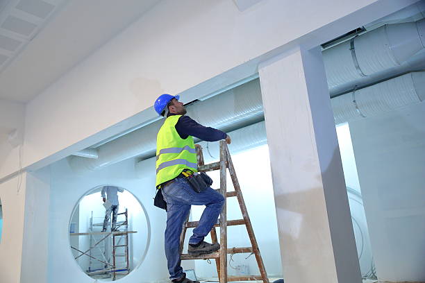 Best Mold Remediation for Healthcare Facilities  in Rogers City, MI