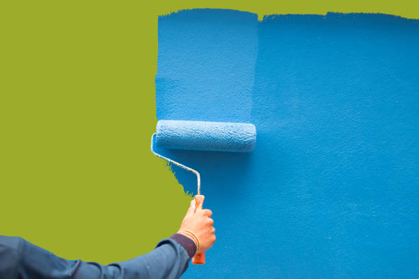 Trusted Rogers City, MI Mold Removal Experts